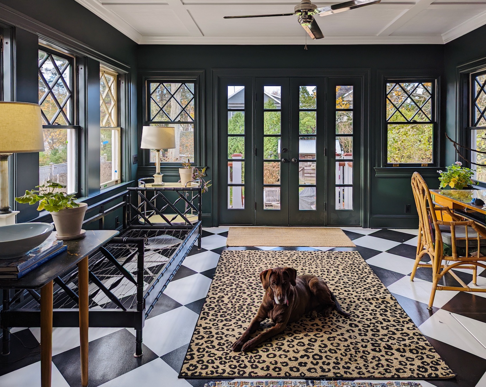 Melissa Sunroom with darling Chocolate Brown Doggi