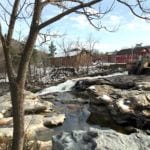 Happy Thanksgiving 2018 – And Important News!