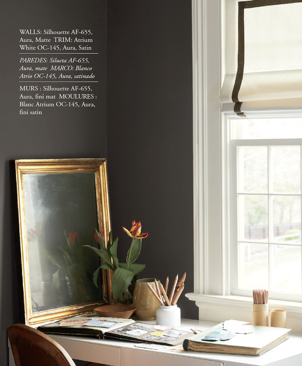Walls Benjamin Moore Silhouette AF-655